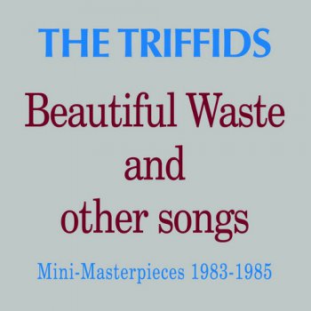 The Triffids - Beautiful Waste And Other Songs (2008) [Remastered]