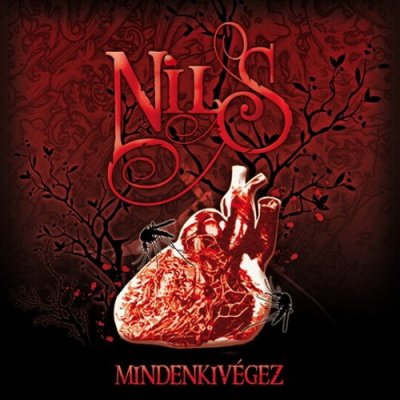 Nils - Mindenkiv&#233;gez (2010)
