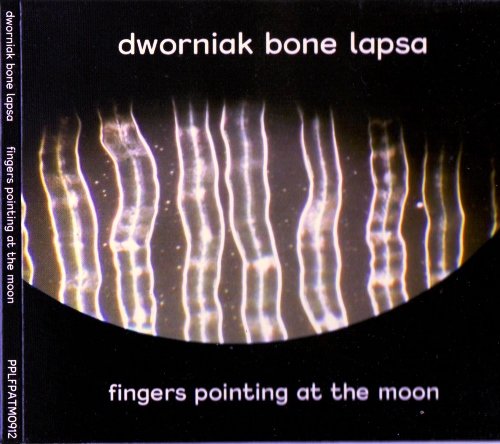 Dworniak Bone Lapsa - Fingers Pointing At The Moon (2014) 