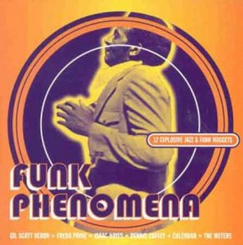 VA - Funk Phenomena (1999)