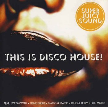 VA - This Is Disco House! (1999)