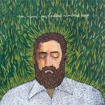 Iron & Wine - Our Endless Numbered Days (2004)
