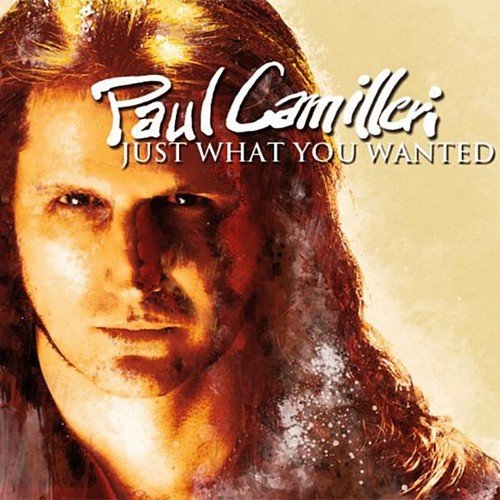 Paul Camilleri - Just What You Wanted (2011)