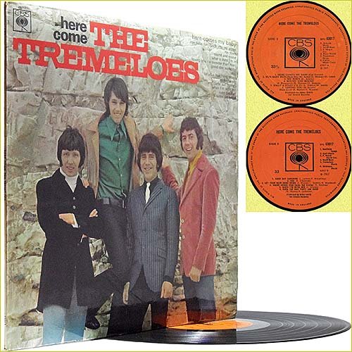 The Tremeloes - Here Come The Tremeloes (1967) (Vinyl)