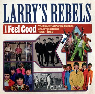 Larry's Rebels - I Feel Good The Essential Purple Flashes Of Larry's Rebels (2015)