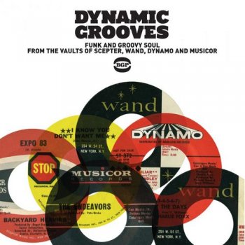 VA - Dynamic Grooves: Funk & Groovy Soul From the Vaults of Scepter, Wand, Dynamo & Musicor [Remastered] (2011)