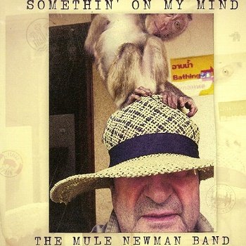 The Mule Newman Band - Somethin' On My Mind (2015)