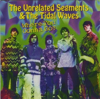 The Unrelated Segments & The Tidal Waves - Where You Gonna Go (1966-70) (1998)
