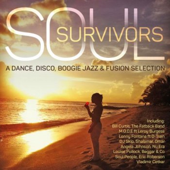 VA - Soul Survivors: A Dance, Disco, Boogie Jazz & Fusion Selection (2016)