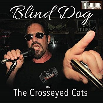 Jeff Vincent - Blind Dog and the Crosseyed Cats [WEB] (2019)