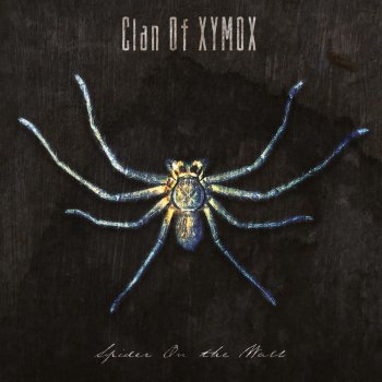 Clan Of Xymox - Spider On The Wall (2020)