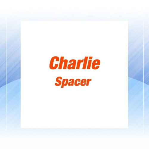 Charlie - Spacer (3 x File, FLAC, EP) 2013