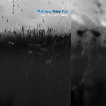 Matthew Shipp Trio - The Unidentifiable [WEB] (2020)
