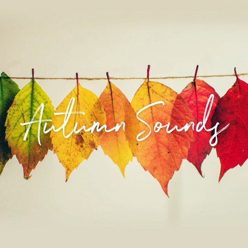 VA - Autumn Sounds (2020) [FLAC]