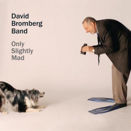 David Bromberg Band - Only Slightly Mad (2013)