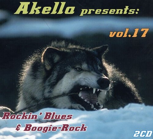 VA - Akella Presents: Rockin' Blues & Boogie Rock - Vol.17 (2013)