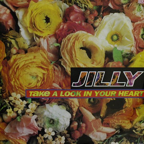 Jilly - Take A Look In My Heart (Vinyl, 12'') 1992