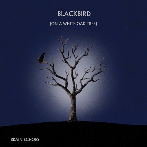 Brain Echoes - Blackbird (On A White Oak Tree) 2021