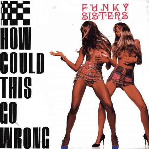 Funky Sisters - How Could This Go Wrong (Vinyl, 12'') 1990