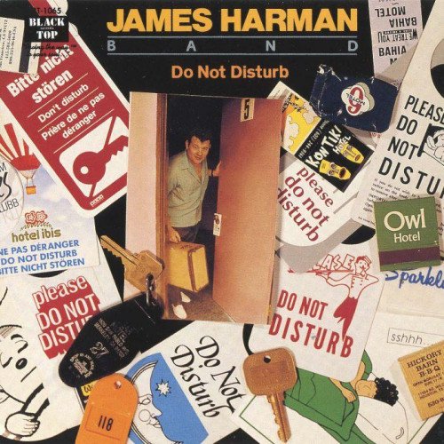 James Harman Band - Do Not Disturb (1991)