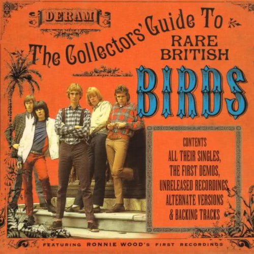 The Birds - The Collectors' Guide To Rare British Birds (1999)