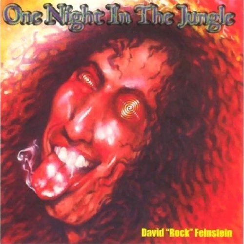 David Rock Feinstein - One Night In The Jungle (2000)
