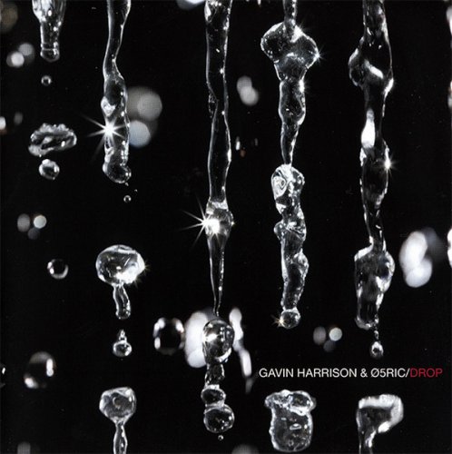 Gavin Harrison & 05Ric – Drop (2007)
