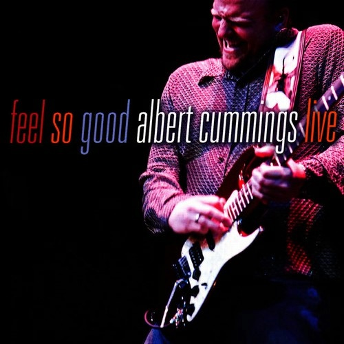 Albert Cummings - Feel So Good: Albert Cummings Live (2008) [24/48 Hi-Res]