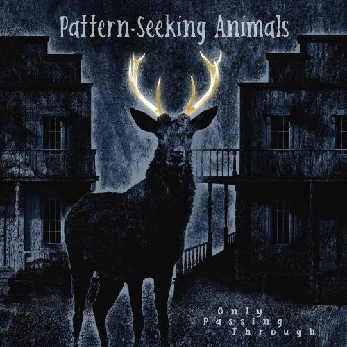 Pattern-Seeking Animals - Only Passing Through (2022)