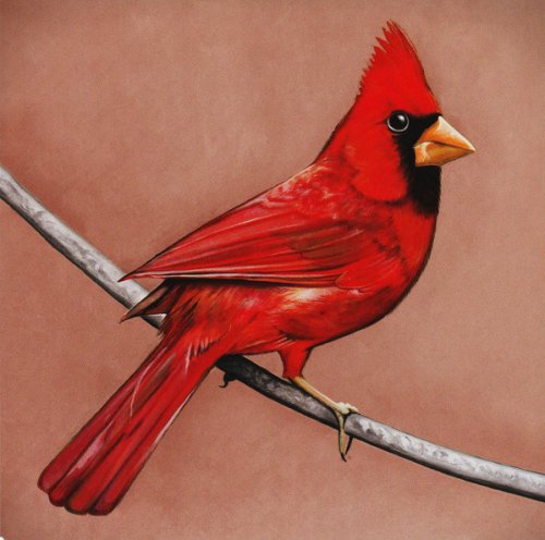 Alexisonfire - Old Crows/Young Cardinals (2009)