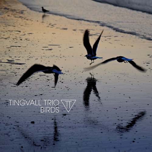 Tingvall Trio - Birds 2023