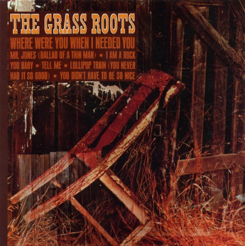 The Grass Roots – Where Were You When I Needed You (1966)