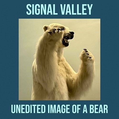 Signal Valley - Unedited Image Of A Bear [WEB] (2023)