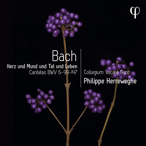 Collegium Vocale Gent and Philippe Herreweghe - Herz und Mund und Tat und Leben - Bach: Cantatas BWV 6-99-147 2023