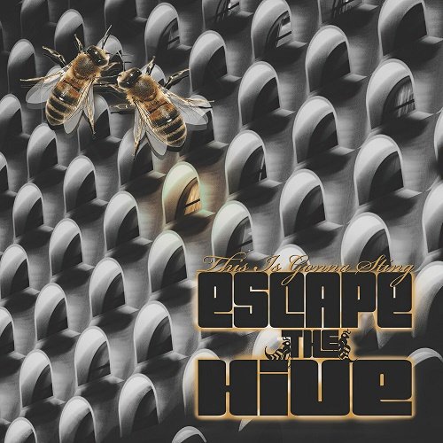 Escape The Hive - This is Gonna Sting [WEB] (2023)