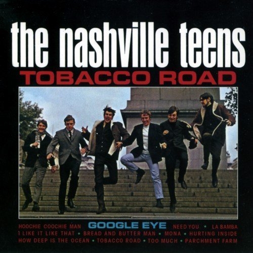 The Nashville Teens - Tobacco Road (1964-71) (2000)