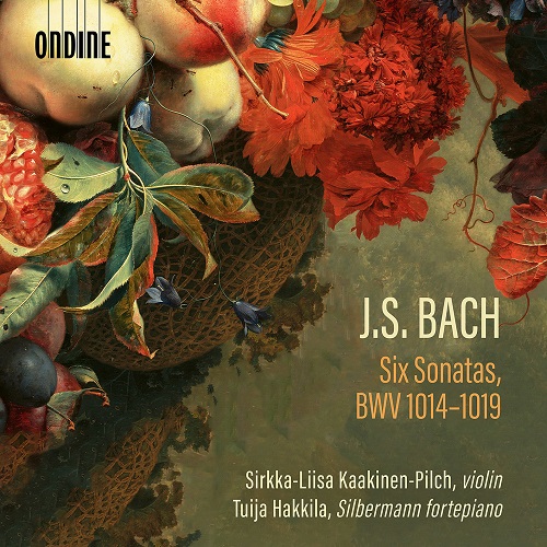 Sirkka-Liisa Kaakinen-Pilch and Tuija Hakkila - Bach: Six Sonatas, BWV 1014-1019 2024