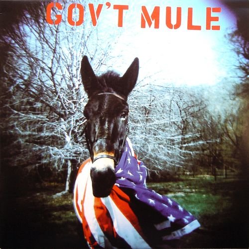 Gov't Mule - Gov't Mule (1995) [2LP Reissue 2016 | Vinyl Rip 1/5.64]