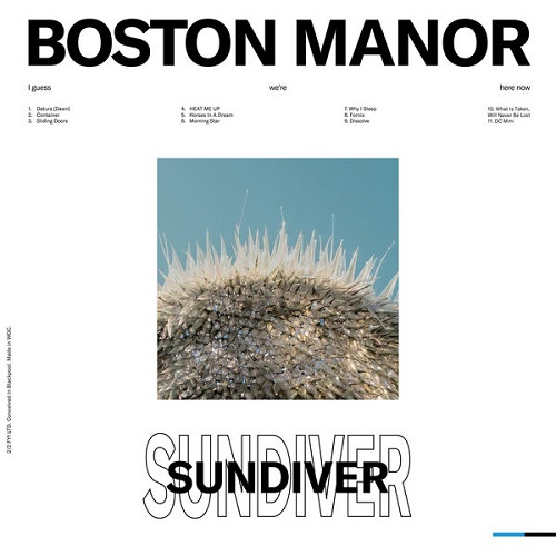 Boston Manor - Sundiver 2024