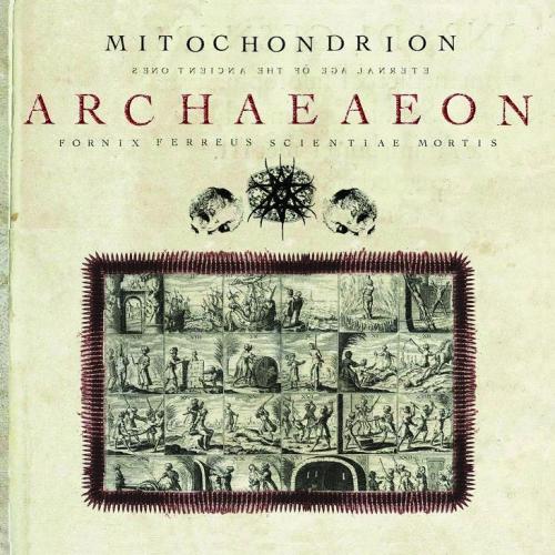 Mitochondrion - Archaeaeon 2008