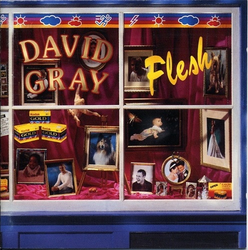 David Gray - Flesh 1994