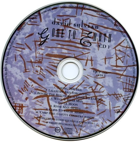 David Sylvian - Gone To Earth [2CD Japan Reissue 2008] (1986)