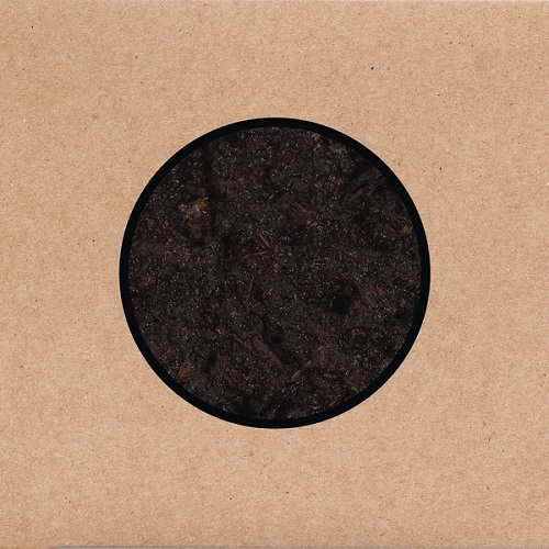 Swans - Birthing 2025
