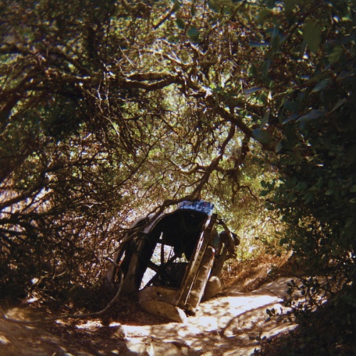 Ty Segall - Possession 2025