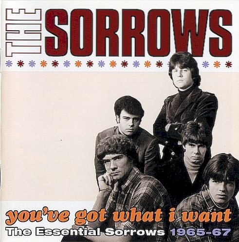The Sorrows - You’ve Got What I Want. The Essential Sorrows 1965-1967 (2010)