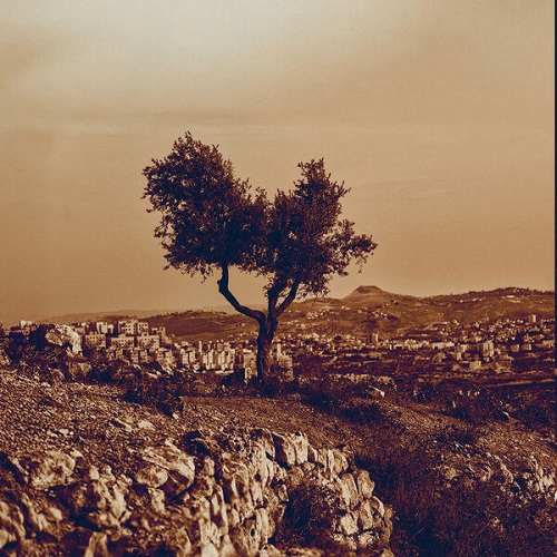 Mamaleek - Cadejos + Those Who Pass Between Fleeting Words (Remastered 2025) 2025