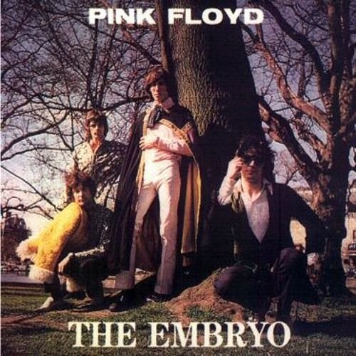 Pink Floyd - The Embryo (1989)
