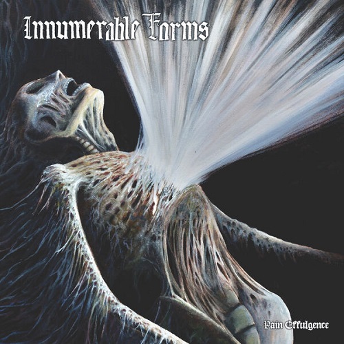 Innumerable Forms - Pain Effulgence 2025