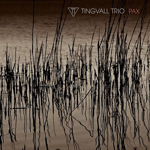 Tingvall Trio - Pax 2025