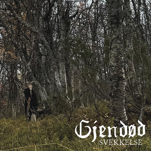 Gjendod (Gjendød) - Svekkelse 2025